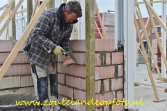 PDS006=151015 (11) (650x433)