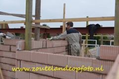 PDS008=281015 (7) (650x434)