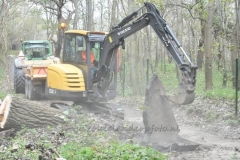DSC_6325 (950x632)