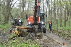 DSC_6345 (950x632)
