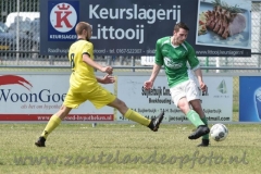 DSC_9065 (950x634)