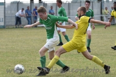 DSC_9188 (950x633)