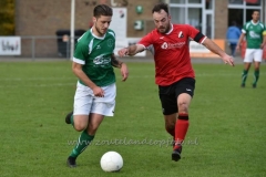 DSC_1930 (950x633)