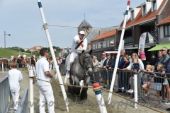 DSC_0307 (950x632)