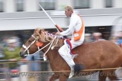 DSC_0486 (950x633)