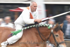 DSC_0500 (950x633)