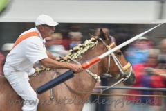 DSC_0555 (950x634)