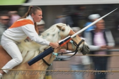 DSC_0565 (950x634)
