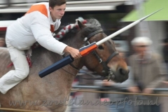 DSC_0578 (950x634)