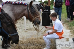 DSC_0608 (950x632)