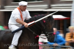 DSC_0679 (950x633)