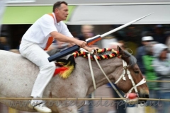 DSC_0686 (950x632)