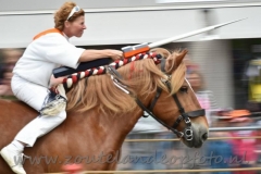 DSC_0713 (950x632)