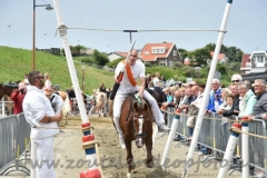 DSC_0838 (950x632)