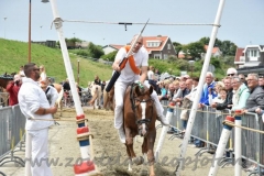 DSC_0839 (950x632)