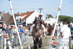 DSC_0972 (950x632)