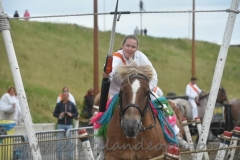 DSC_0100 (950x632)