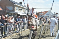 DSC_0438 (950x632)