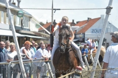 DSC_0439 (950x626)