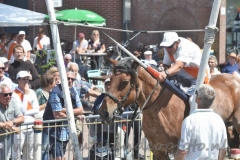 DSC_0447 (950x632)