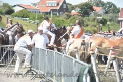 DSC_0457 (950x632)