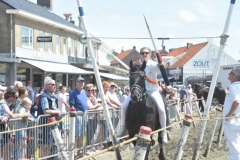 DSC_0483 (950x632)