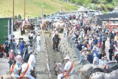 DSC_0535 (950x632)