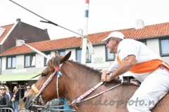 DSC_0706 (950x632)