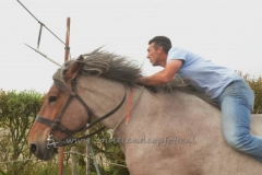 ACE_0333 (950x633)