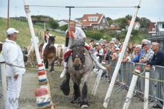 KW1701 (222) (950x632)