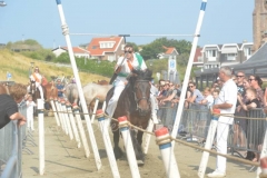 batch_ACE_0035