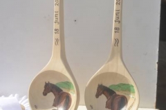 batch_ACE_0072