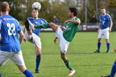 DSC_9382 (950x633)