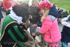 DSC_6395 (950x632)