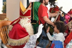 DSC_6502 (950x633)
