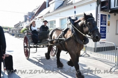 DSC_3052 (950x632)