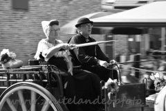 DSC_3093 (950x634)