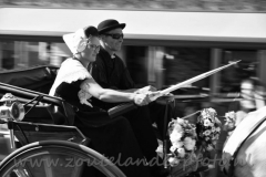 DSC_3145 (950x632)