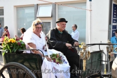DSC_3235 (950x632)