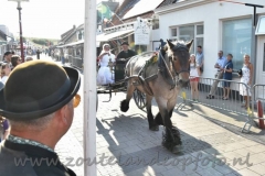 DSC_3239 (950x634)