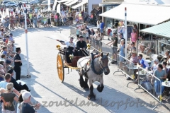 DSC_3269 (950x632)