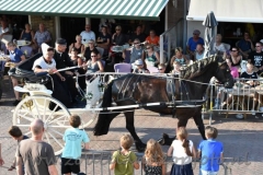 DSC_3284 (950x632)