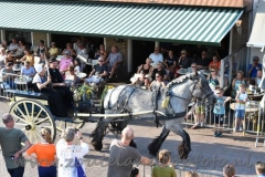 DSC_3296 (950x632)