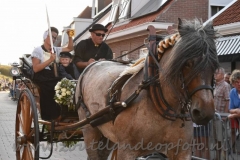 DSC_3384 (950x633)