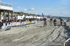 DSC_0493 (950x632)