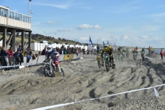DSC_0495 (950x632)