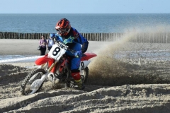 DSC_2952 (950x633)