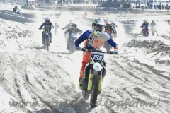 DSC_3534 (950x633)