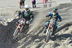 DSC_3654 (950x633)