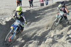 DSC_3655 (950x633)